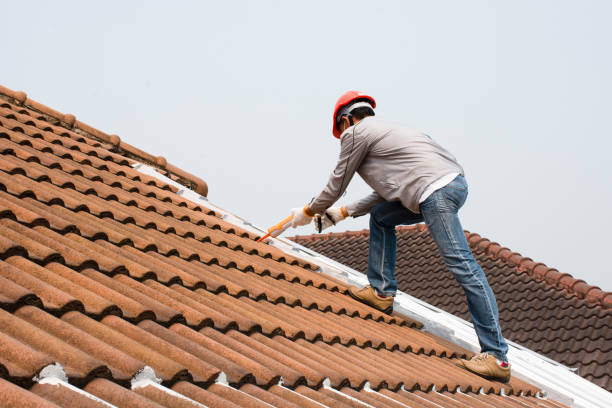 Best Green or Eco-Friendly Roofing Solutions  in North Port, FL